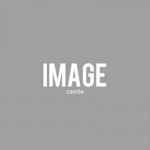 dummy image carree
