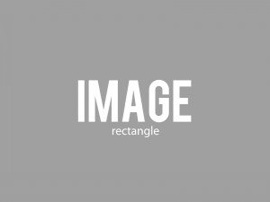 dummy image rectangle